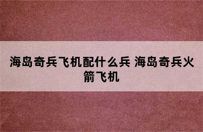 海岛奇兵飞机配什么兵 海岛奇兵火箭飞机